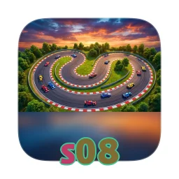 s08